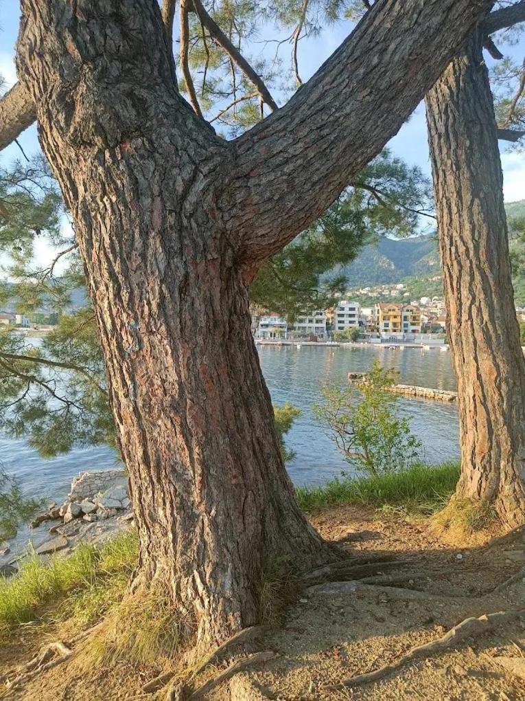 Tondo Apartman Tivat Kültér fotó